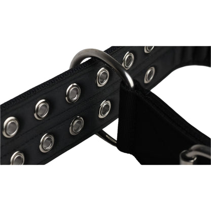 5cm Sport Collar Black - Pet Supplier Store