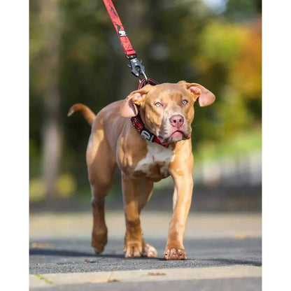 5cm Sport Collar Red Camo - Pet Supplier Store