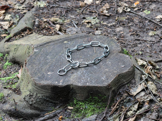 5mm Chain Collar - Pet Supplier Store
