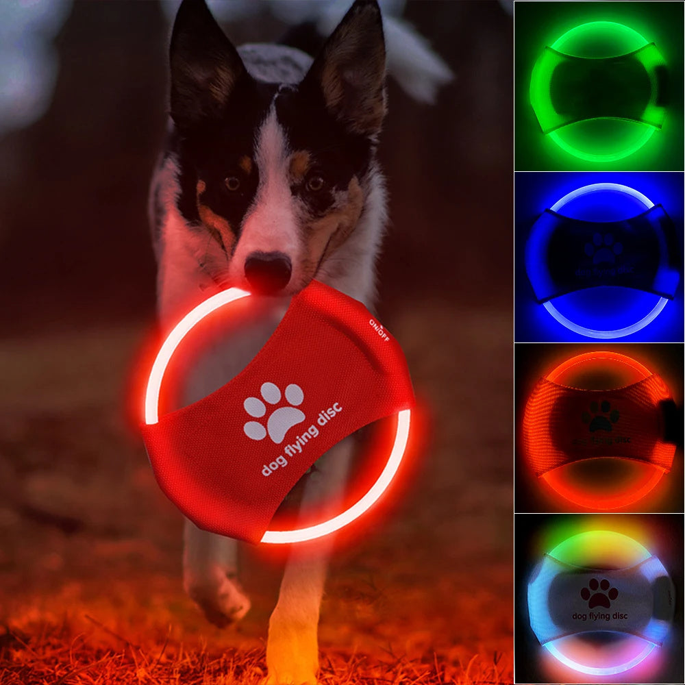 A dog catching a red glowing LED frisbee with other color options shown in separate images. The frisbee is rechargeable and appears to be made of a soft, durable material.