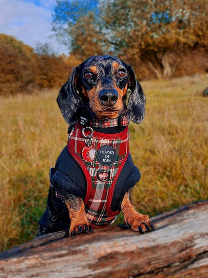 Tartan Me Up - Red & Cream Tartan Design Poop Bag Holder