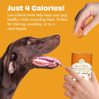 Pawfect Pre and Probiotic Dog Treats: Pumpkin & Yogurt 38g