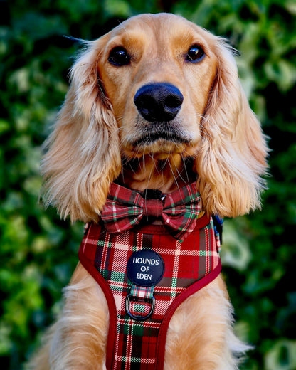 Tartan Me Up - Red & Cream Tartan Design Poop Bag Holder