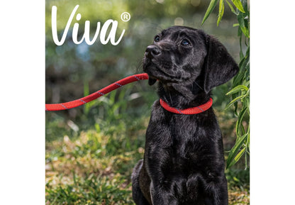 Viva Rope Slip Lead 150cm x 0.8cm