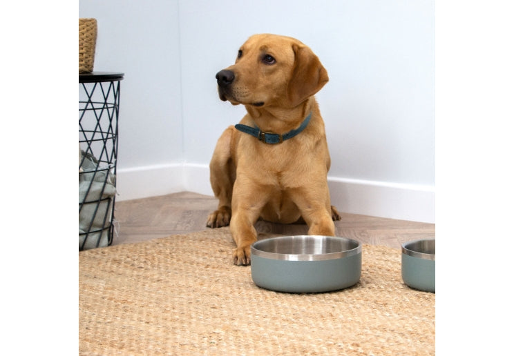 Ancol Hungry Paws Sage Stainless Steel Bowl – 1100ml