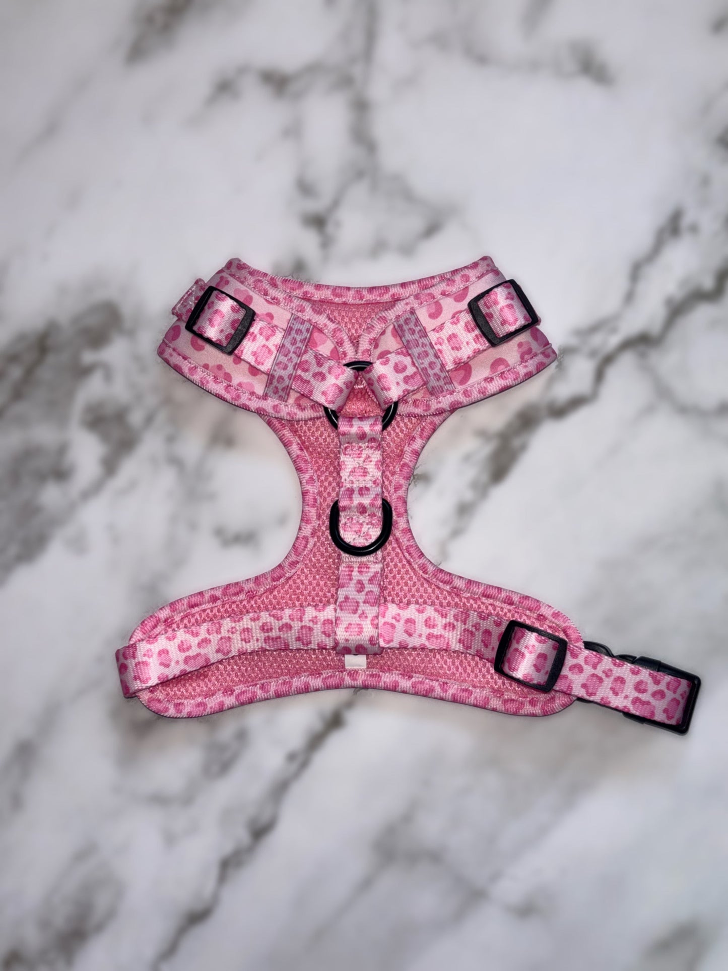 Walk on the Wild Side Harness