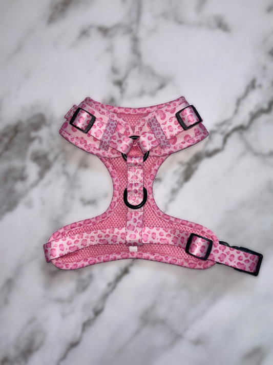 Walk on the Wild Side Harness