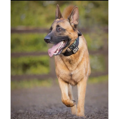 7cm Sport Collar Black - Pet Supplier Store