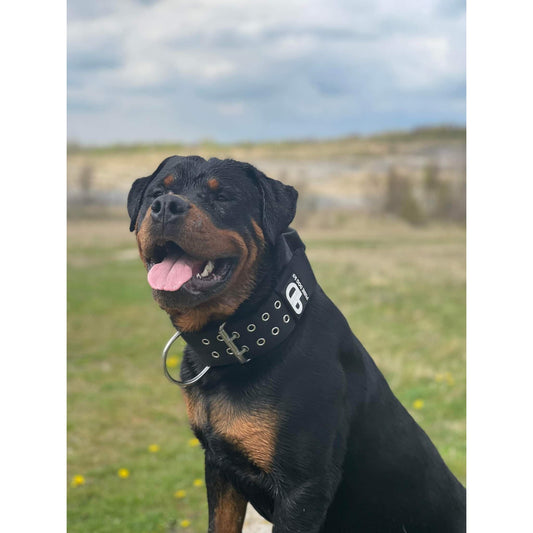 7cm Sport Collar Black - Pet Supplier Store