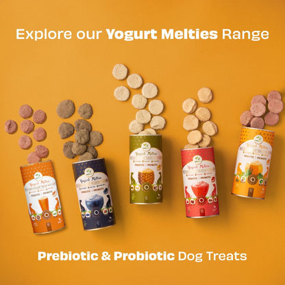 Pawfect Pre and Probiotic Dog Treats: Pumpkin & Yogurt 38g