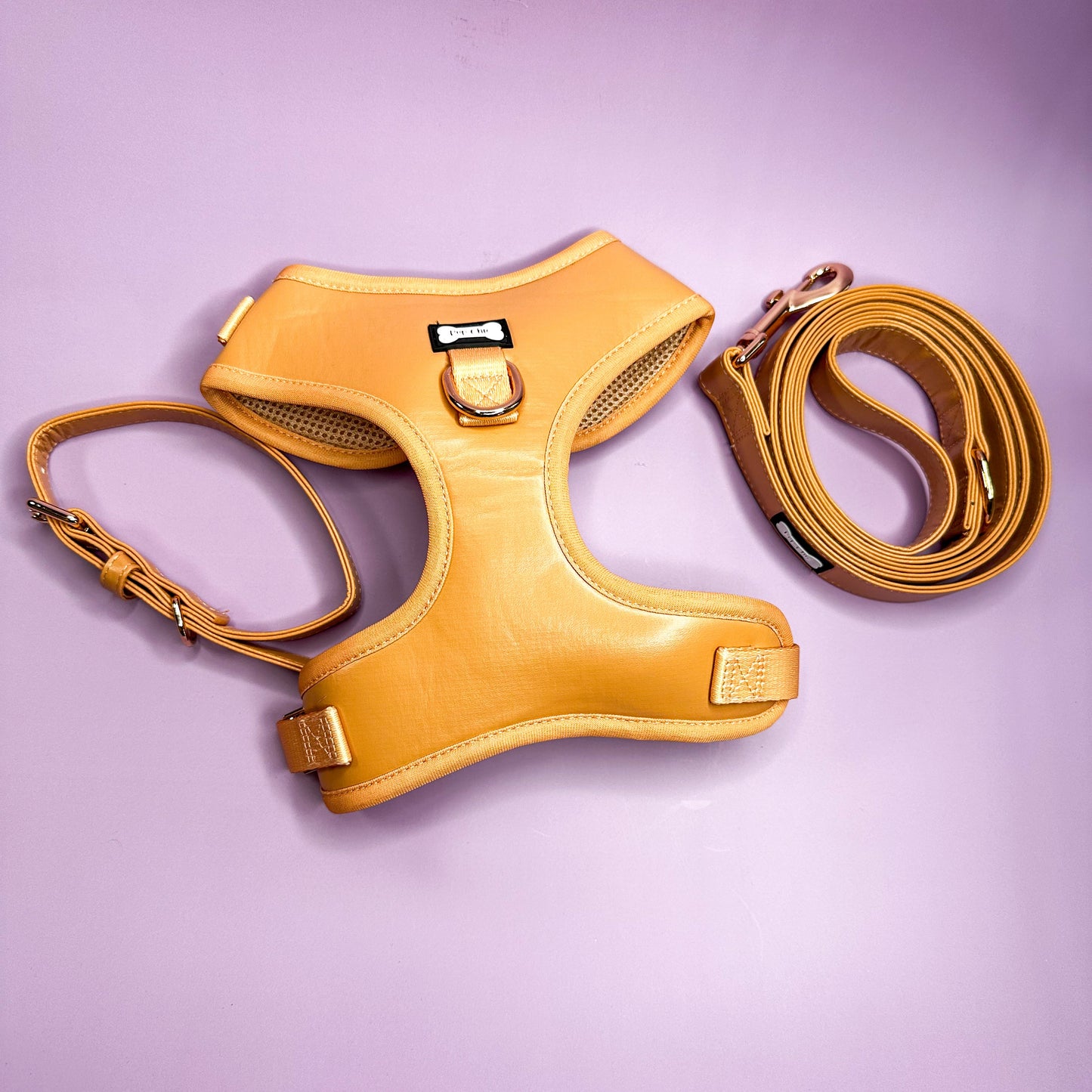 Alfresco Pup vegan leather dog collar - camel colour buckle dog collar