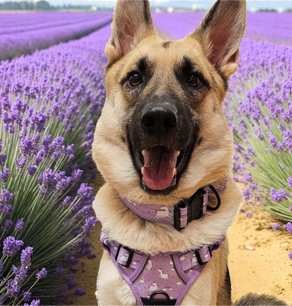 Daydreams and Unicorns Tactical Dog Collar (M–XL) – Heavy-Duty Strength Meets Bold Style