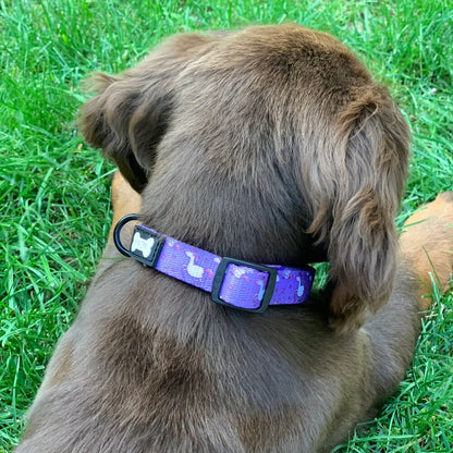Daydreams and Unicorns Collar
