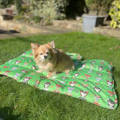 Roll and Go Signature Collection Garden Days Padded Chihuahua Print Travel Mat by My Chi and Me