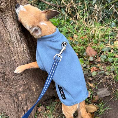 Tiny Toastie Water Repellent Fleece Dog Coat by My Chi and Me Dusky Blue