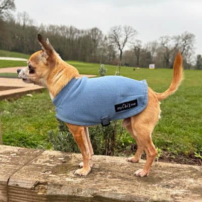 Tiny Toastie Water Repellent Fleece Dog Coat by My Chi and Me Dusky Blue