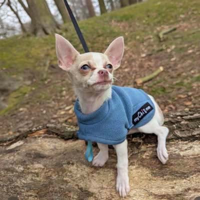 Tiny Toastie Water Repellent Fleece Dog Coat by My Chi and Me Dusky Blue