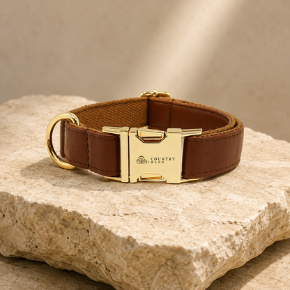 Rich Earth  - CB Walk Set