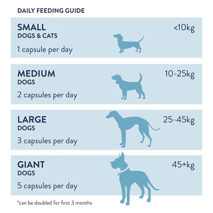 Dorwest Evening Primrose Oil for Dogs & Cats | Natural Skin & Hormone Support