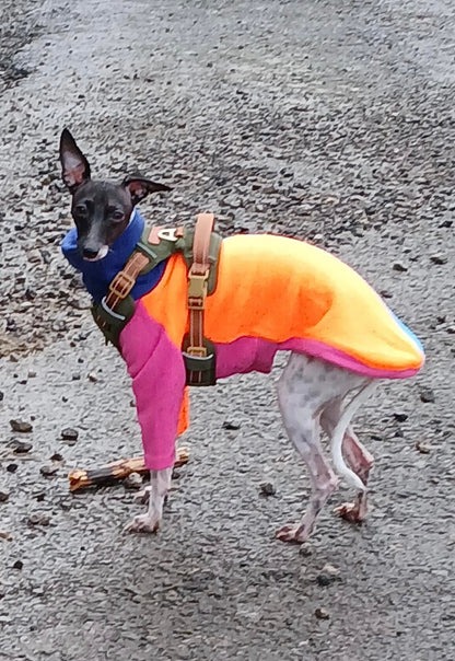 Fleece Jumper - Neon Colour Block
