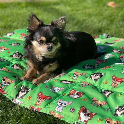 Roll and Go Signature Collection Garden Days Padded Chihuahua Print Travel Mat by My Chi and Me
