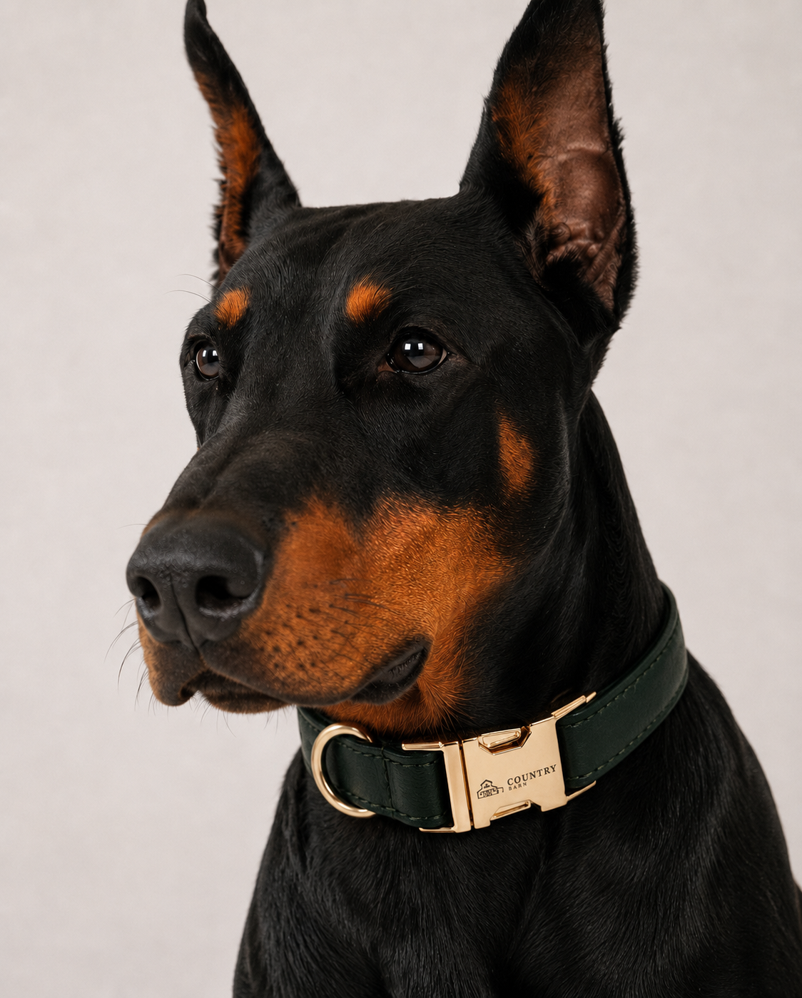 Hunting Green - CB Walk Set