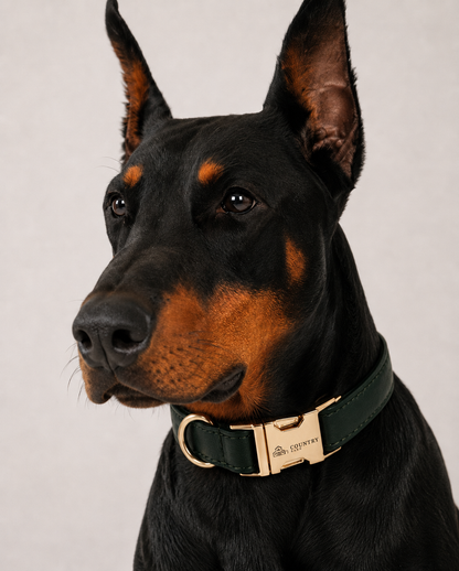 Hunting Green - CB Walk Set