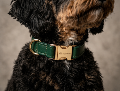 Hunting Green - CB Walk Set