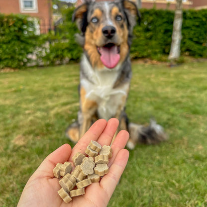Soopa - Healthy Bites Dog Treats