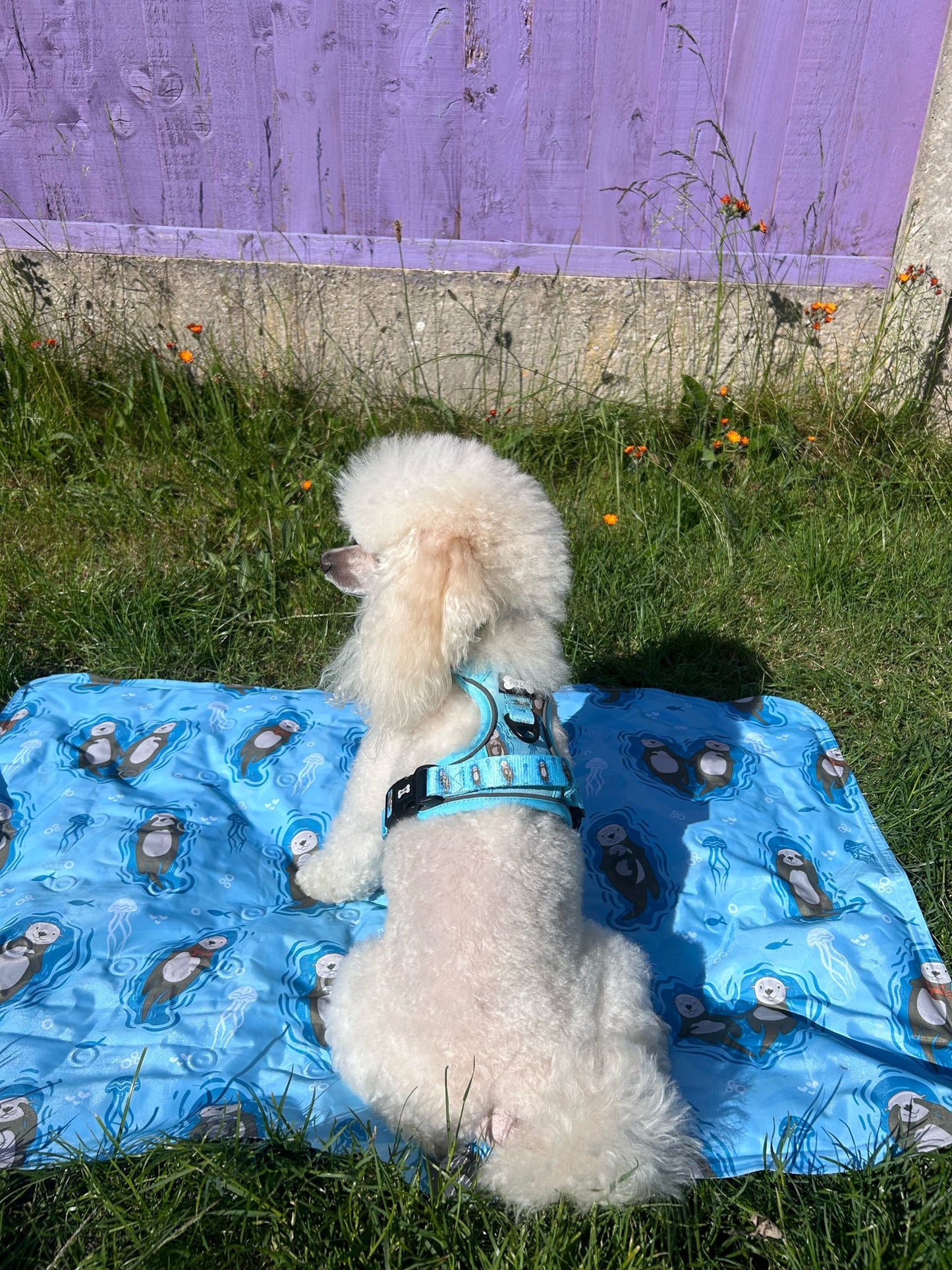 Otterly Lovely Tactical Dog Harness – No Pull &  Fully Adjustable