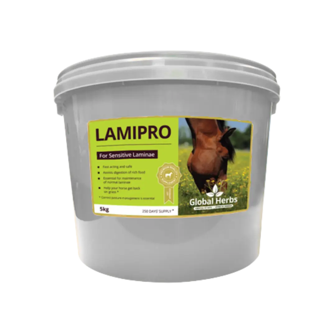 LamiPro - Global Herbs