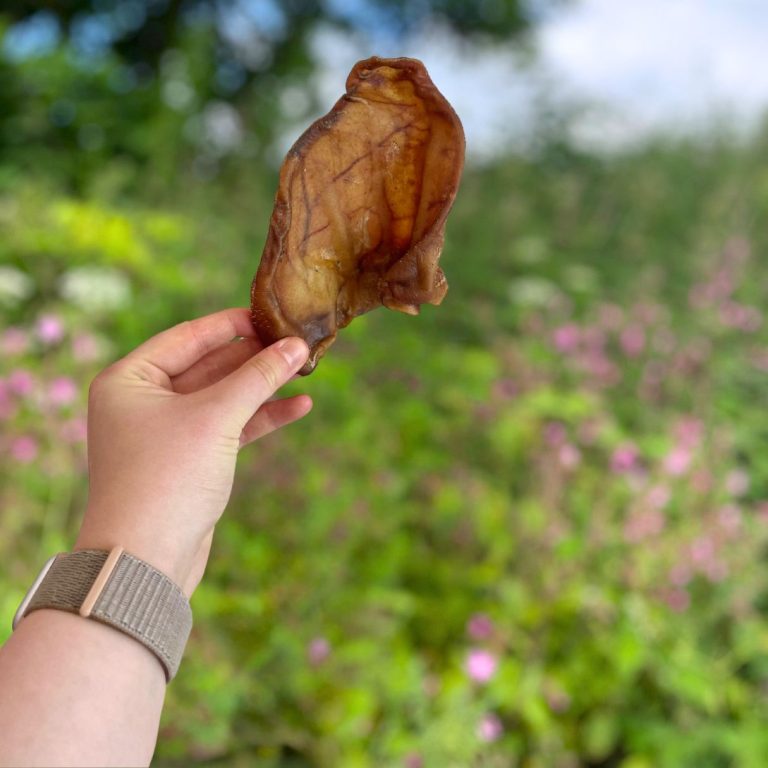 Paddock Farm - Pigs Ear 10pack - Natural Dog Treat