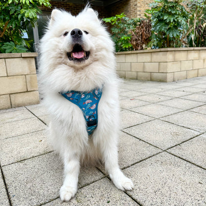 Lazy Sloth No Pull Tactical Dog Harness – Blue Teal Sloth Print, Adjustable, Step-In (Small-XL) 🦥