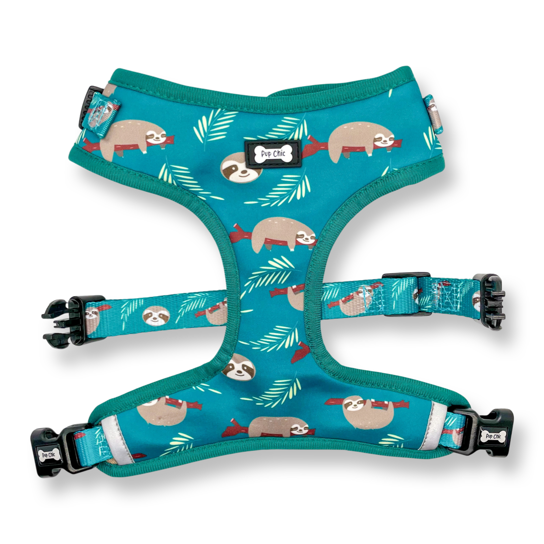 Lazy Sloth Puppy Harness – XXS Size for Tiny Breeds 🦥💚