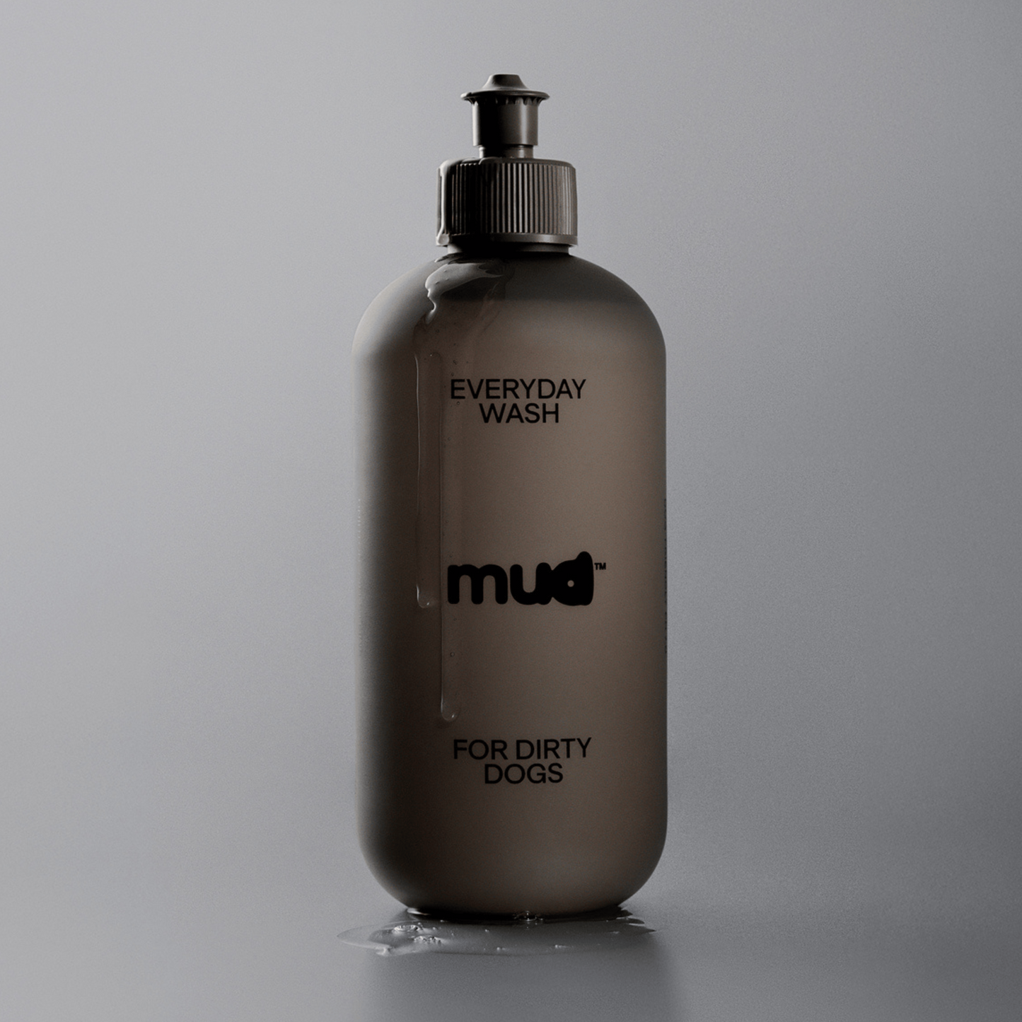 Everyday Wash for Dirty Dogs 400ml
