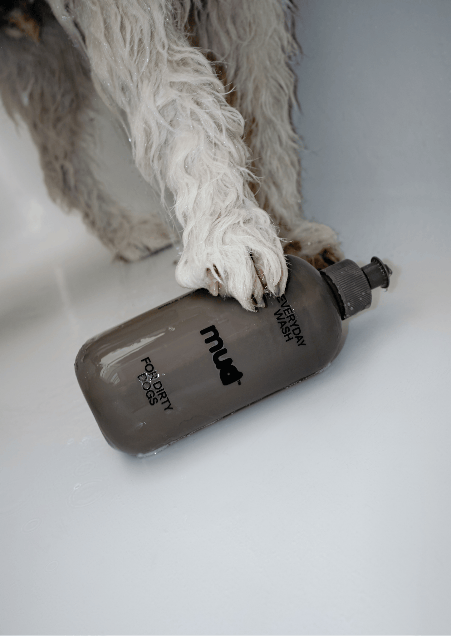 Everyday Wash for Dirty Dogs 400ml