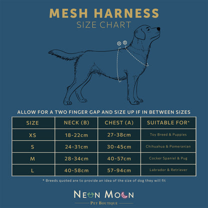 The Luna Mesh Harness