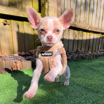 Tiny Trails Step In Soft Touch Suede Effect Faux Fur Lined Puppy and Small Dog Harness Caramel