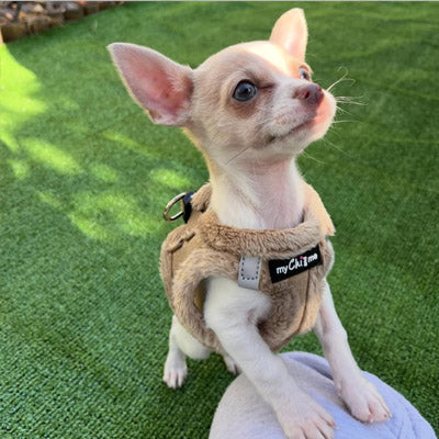 Tiny Trails Step In Soft Touch Suede Effect Faux Fur Lined Puppy and Small Dog Harness Caramel