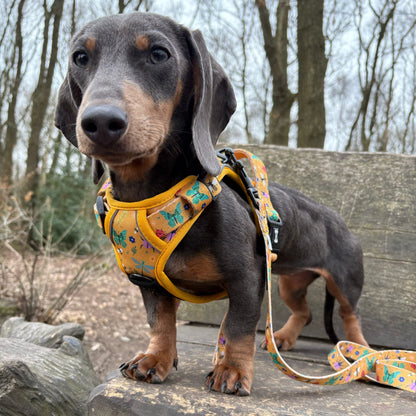 Summer Buzzin' No Pull Tactical Dog Harness – Yellow Insect Print, Adjustable, Step-In (XS-XL)