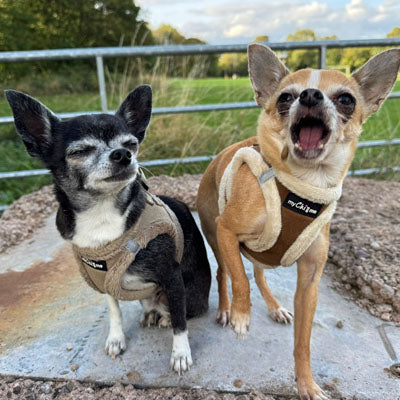 Tiny Trails Step In Soft Touch Suede Effect Faux Fur Lined Puppy and Small Dog Harness Mocha