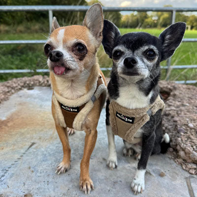 Tiny Trails Step In Soft Touch Suede Effect Faux Fur Lined Puppy and Small Dog Harness Mocha