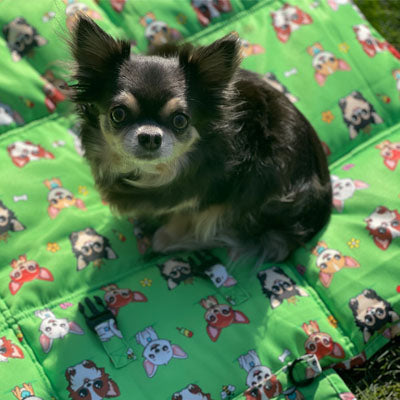Roll and Go Signature Collection Garden Days Padded Chihuahua Print Travel Mat by My Chi and Me