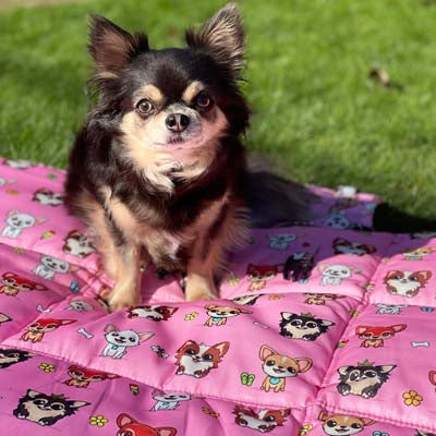 Roll and Go Signature Collection Pink Padded Chihuahua Print Travel Mat by My Chi and Me