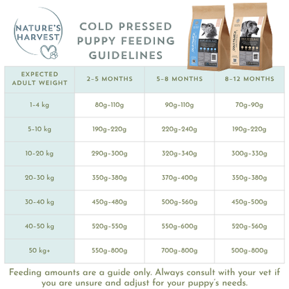 Cold Pressed Ocean Fish and Sweet Potato 3KG Hypoallergenic Dog Food - Raw Made Easy
