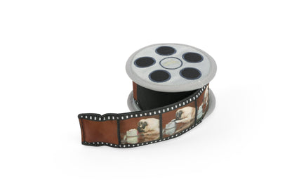 Hollywoof Movie Reel Dog Toy