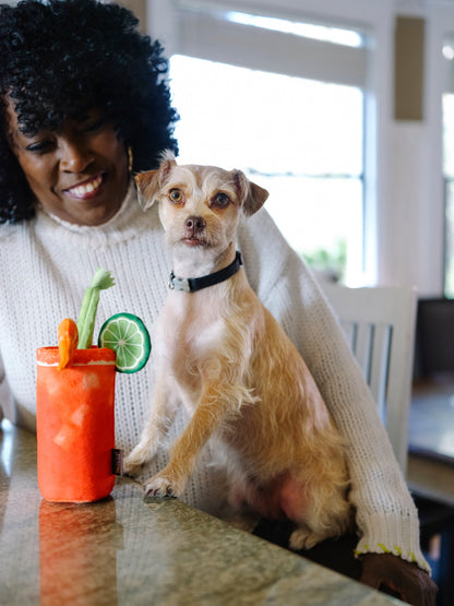 Buddy Mary dog toy