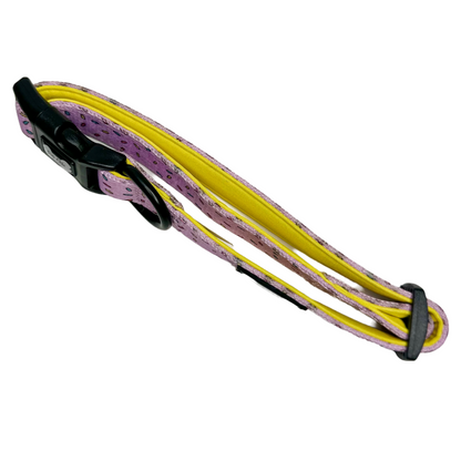 Sprinkles For Days Collar - pink or blue sprinkles dog collar