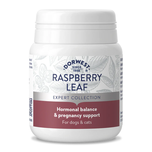 Dorwest Raspberry Leaf Tablets for Dogs & Cats – Hormonal Balance & Whelping Support
