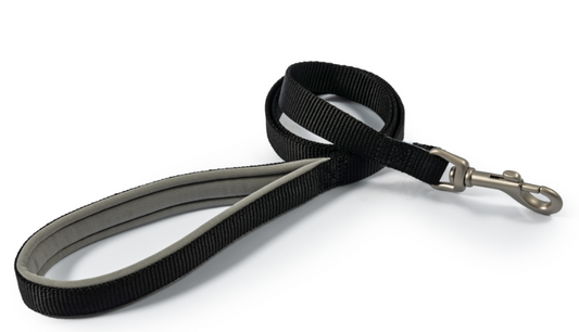 Ancol Viva Padded Lead Black 1mx19mm